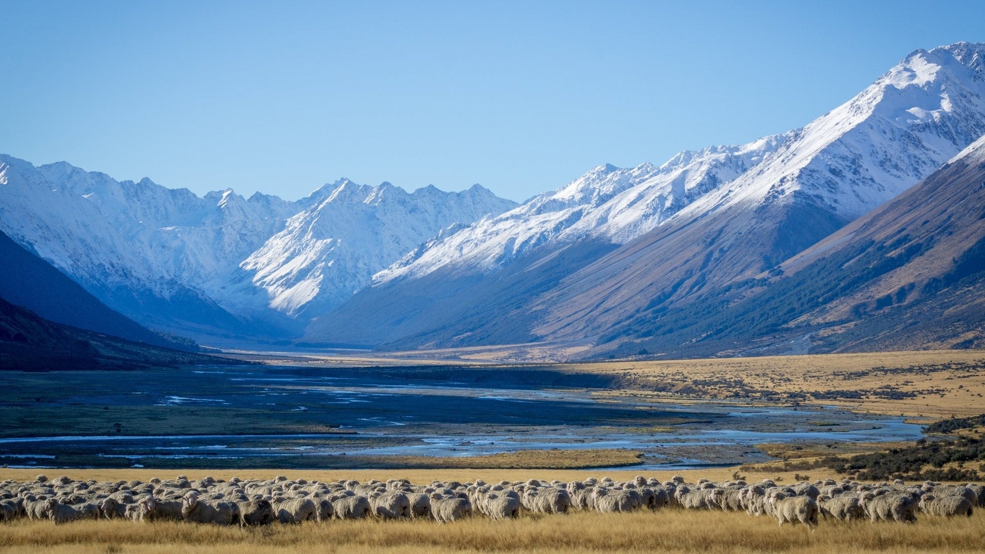What We Talk About When We Talk About Biodiversity - BRANWYN | Performance Innerwear