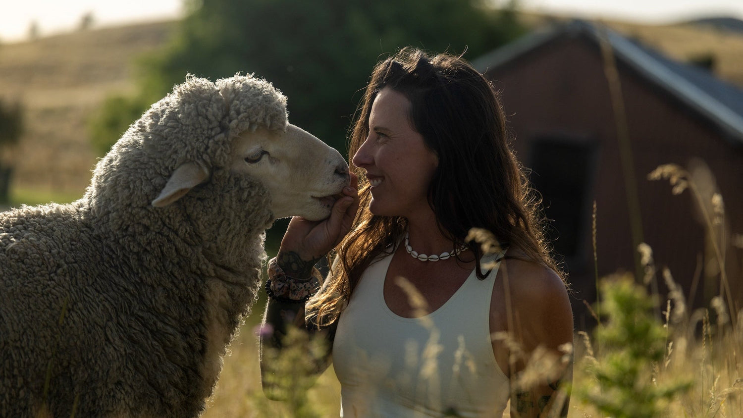 Woman in white sustainable Merino wool sitting in field petting a Merino sheep.