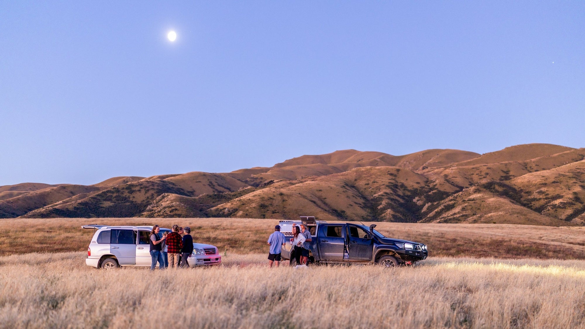 Field Notes from New Zealand