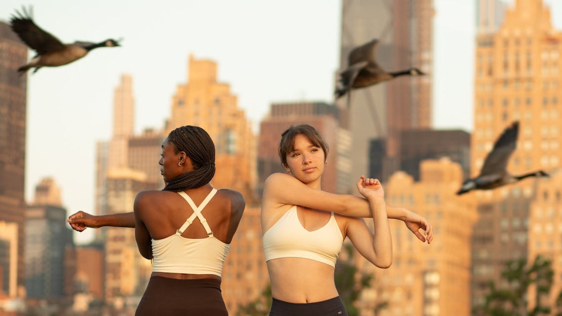 The Beginner’s Guide to Birdwatching