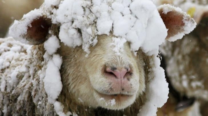 Always Cold? Warm Up the Natural Way With Merino Wool - BRANWYN | Performance Innerwear