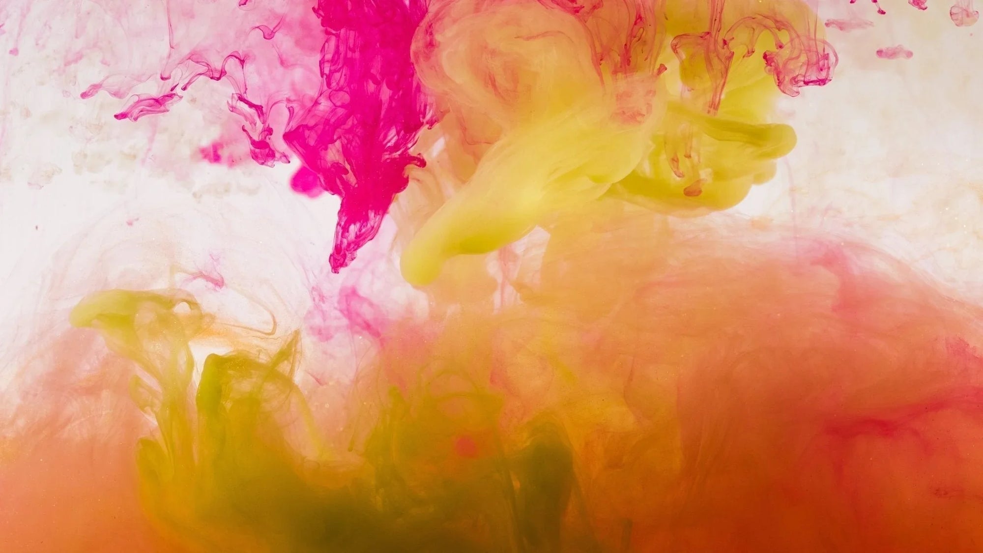 Colorful natural dyes suspended in water.