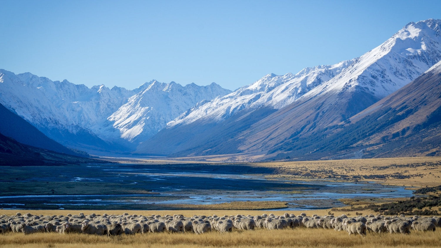 What We Talk About When We Talk About Biodiversity - BRANWYN | Performance Innerwear