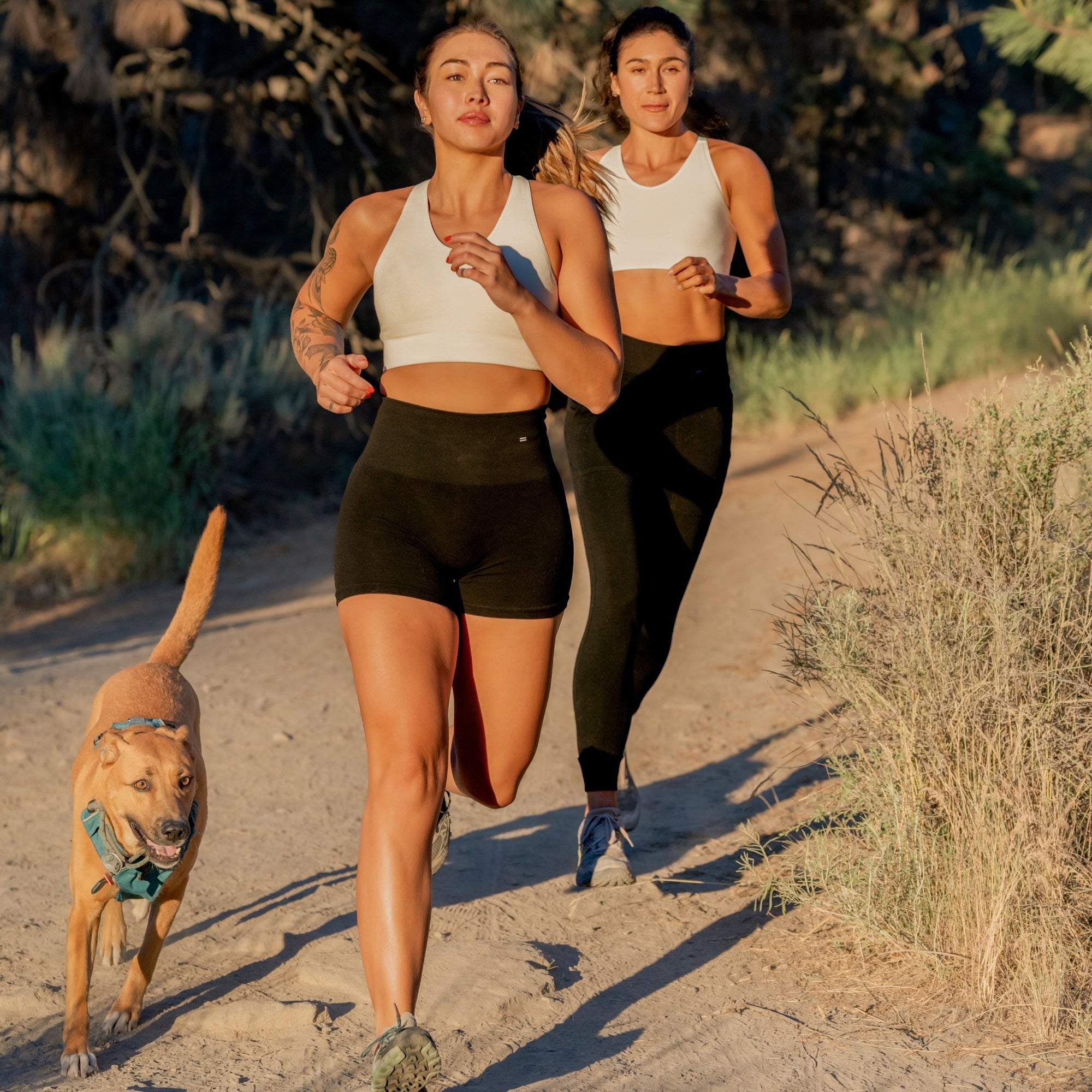 Two women jogging on a sunlit dirt trail with trees and brush in the background, accompanied by a dog. The woman in front wears a white sports bra and black shorts, while the woman behind wears a white sports bra and black leggings.