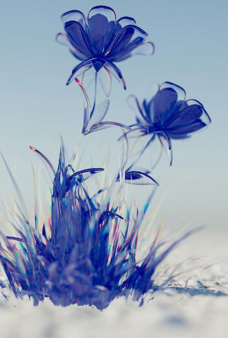 Blue flowers emerging from snow against a clear sky